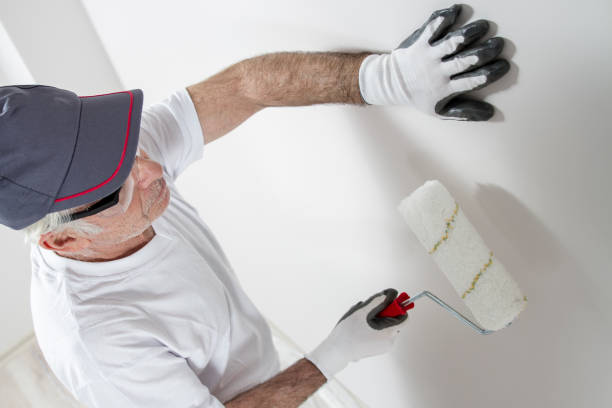 Best Biohazard Mold Removal  in , CO