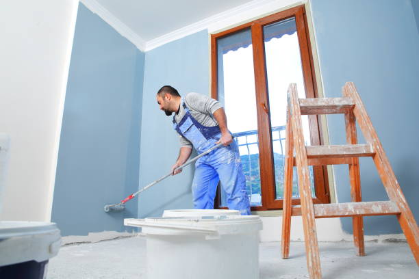 Best Emergency Mold Remediation  in , CO