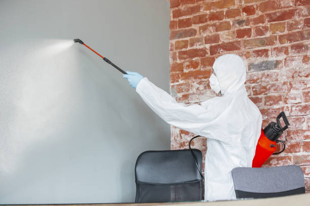 Best Mold Documentation for Insurance Claims  in , CO