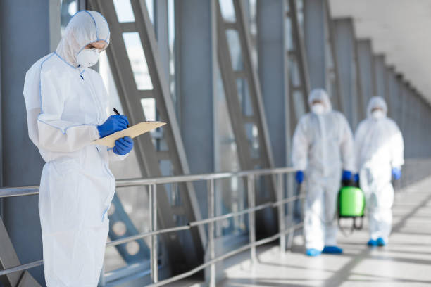 Best Black Mold Removal  in , CO