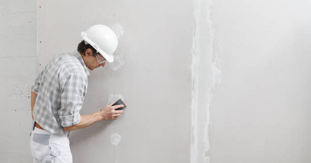  , CO Mold Removal Pros