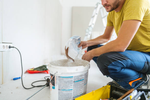 Best Mold Prevention Services  in , CO