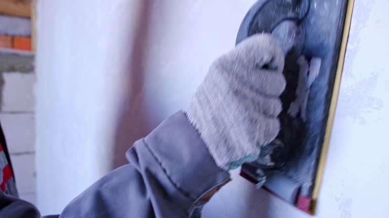 Best Mold Damage Restoration  in , CO