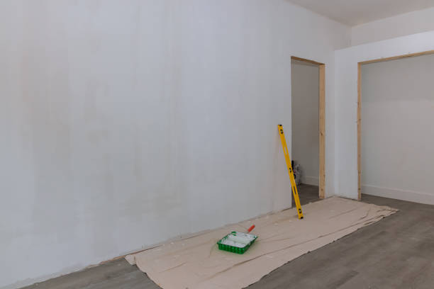 Best Mold Removal for HVAC Installations  in , CO
