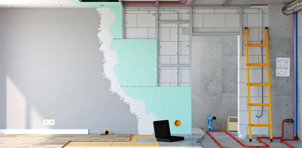 Best Forensic Mold Investigation  in , CO