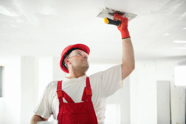 Best Water Damage & Mold Remediation  in , CO