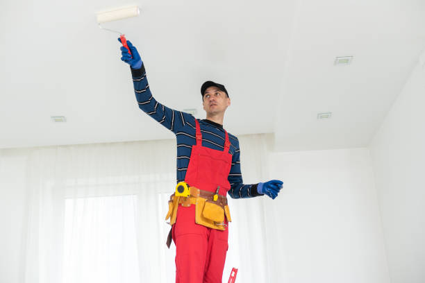 Best Industrial Mold Remediation  in , CO