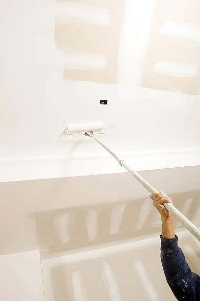 Best Post-Construction Mold Inspection  in , CO
