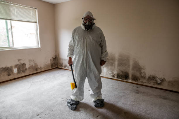 Best Industrial Mold Remediation  in , CO