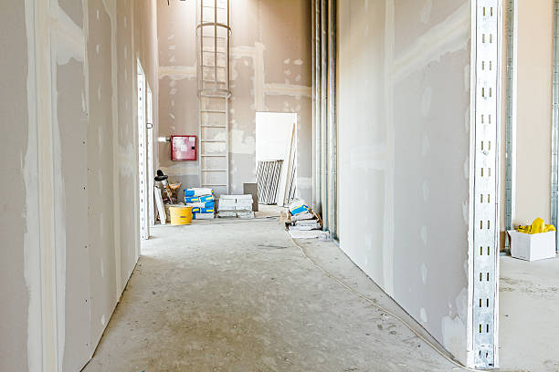 Best Comprehensive Air Testing for Mold Contaminants  in , CO
