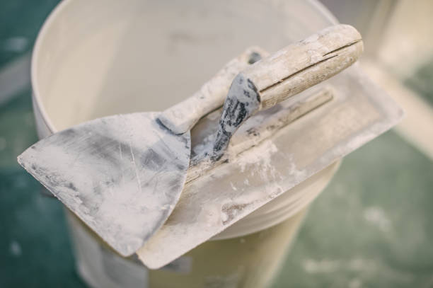 Best Airborne Mold Testing  in , CO