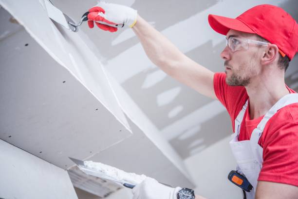 Best Real Estate Mold Inspection  in , CO