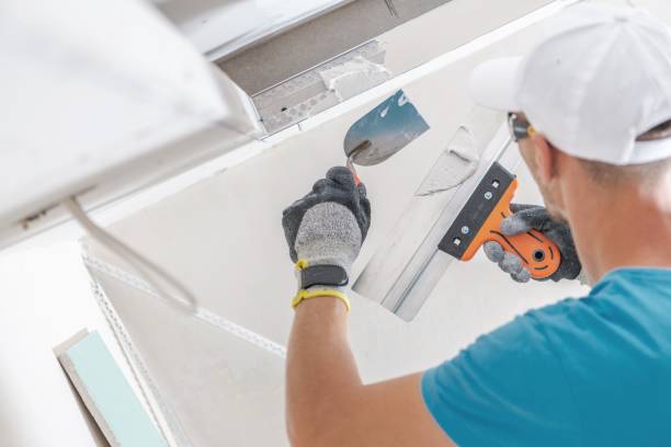 Best Dehumidification Services  in , CO